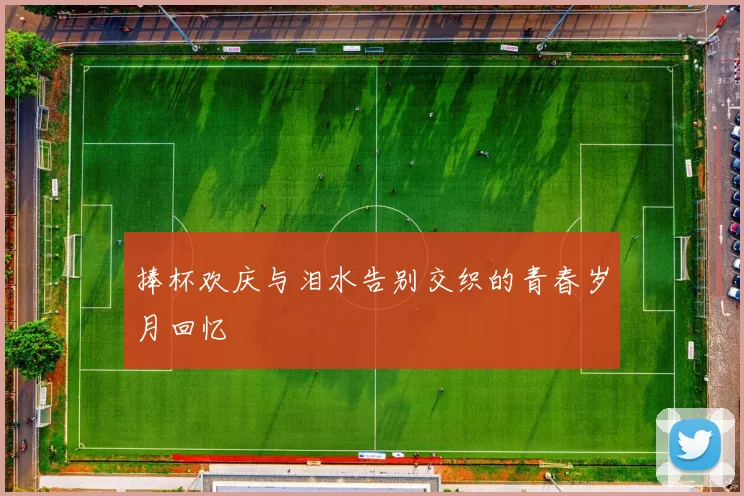 捧杯欢庆与泪水告别交织的青春岁月回忆
