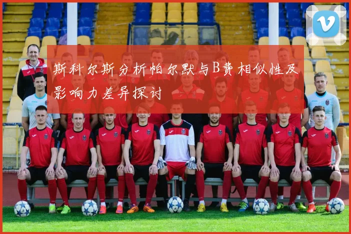 斯科尔斯分析帕尔默与B费相似性及影响力差异探讨